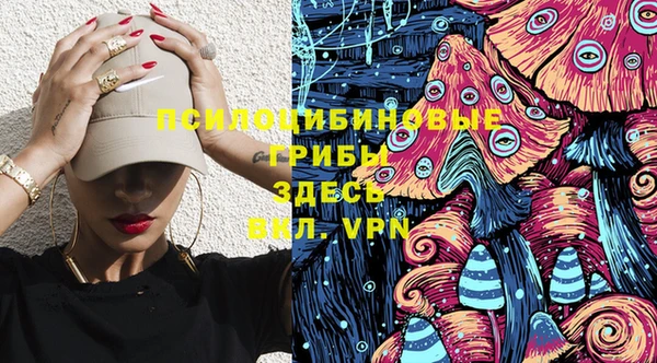 ПСИЛОЦИБИНОВЫЕ ГРИБЫ Абаза
