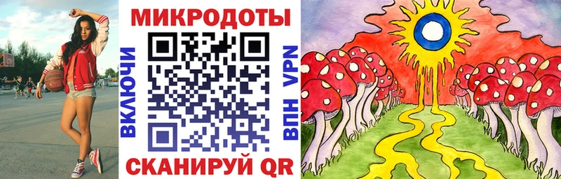 Псилоцибиновые грибы мицелий  Нижняя Тура 